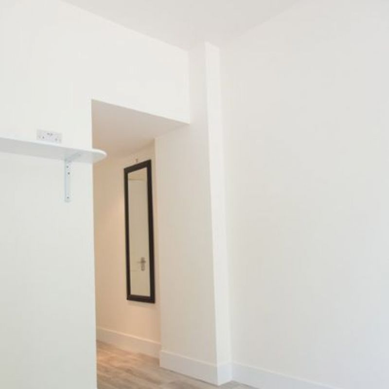 Rear extension in Islington