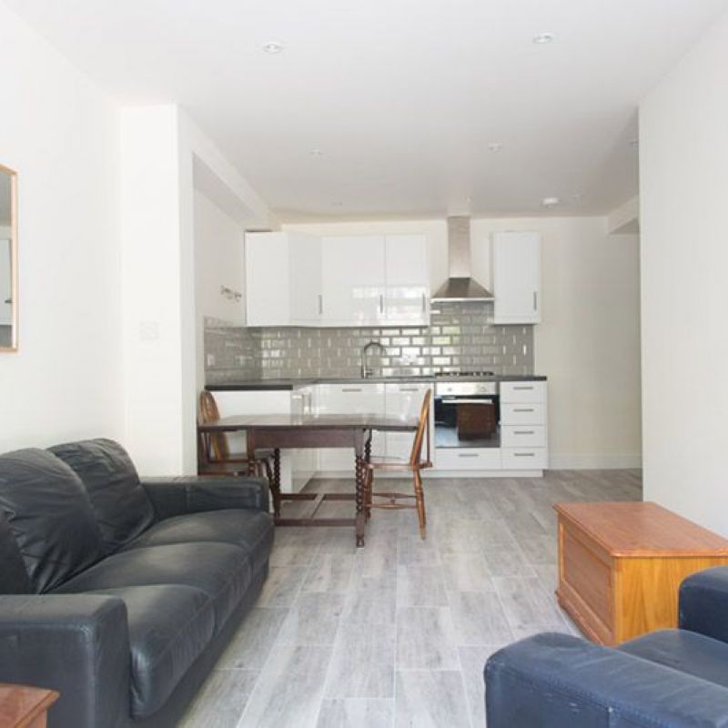 Rear extension in Islington